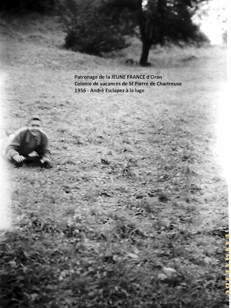 COLO JEUNE FRANCE 1956 Andre Esclapez a la luge.jpg